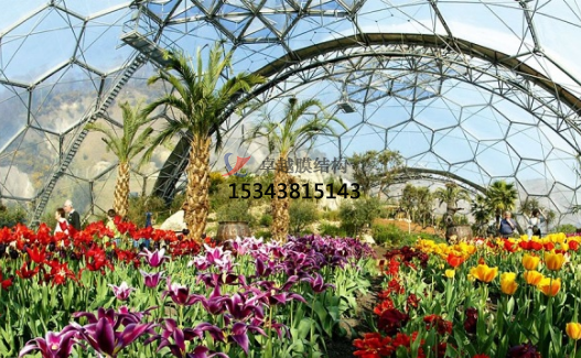 ETFE指南：如何清洗ETFE氣枕？